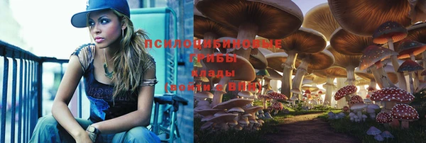 герыч Абаза